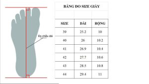 Chọn size giày đúng cách: Bảng chọn size và cách đo chân 2 Chọn size giày đúng cách: Bảng chọn size và cách đo chân